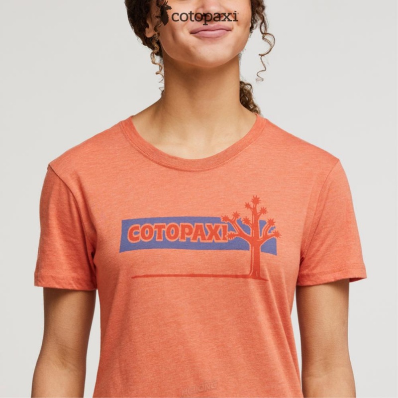 Cotopaxi Hello Desert T-Shirt Nectar | XD94-O5-EG