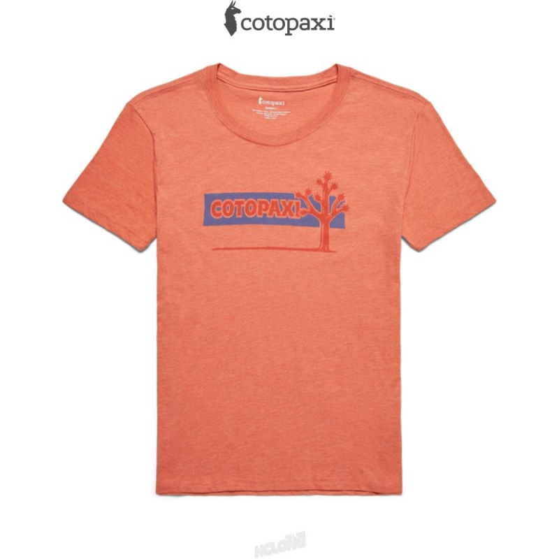 Cotopaxi Hello Desert T-Shirt Nectar | XD94-O5-EG