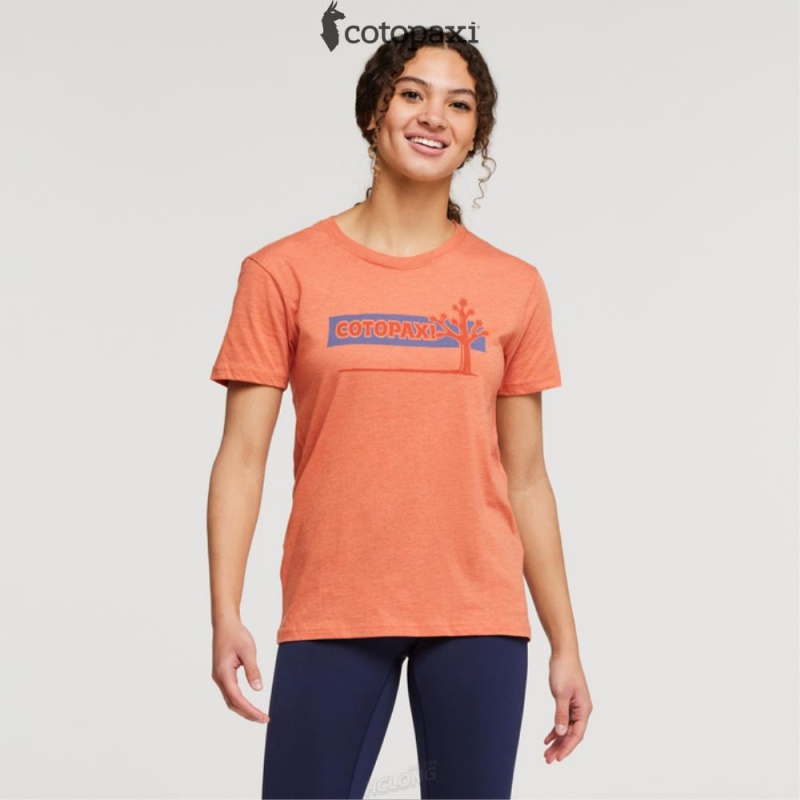 Cotopaxi Hello Desert T-Shirt Nectar | XD94-O5-EG