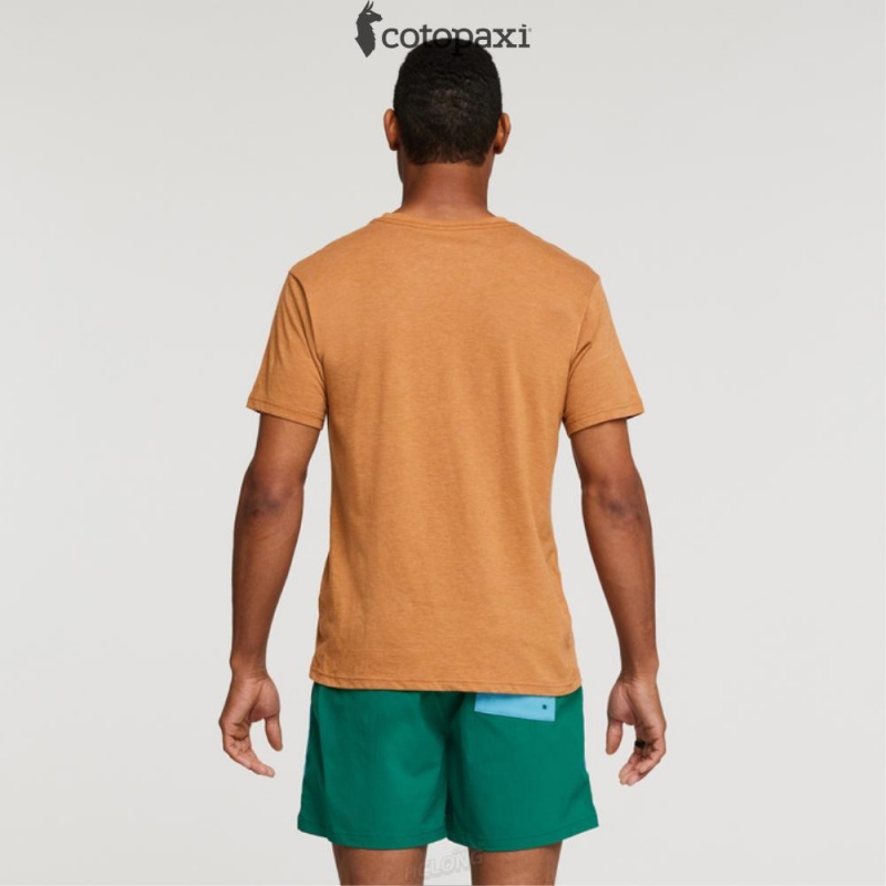 Cotopaxi Hello Desert T-Shirt Saddle | PH65-Q8-TZ