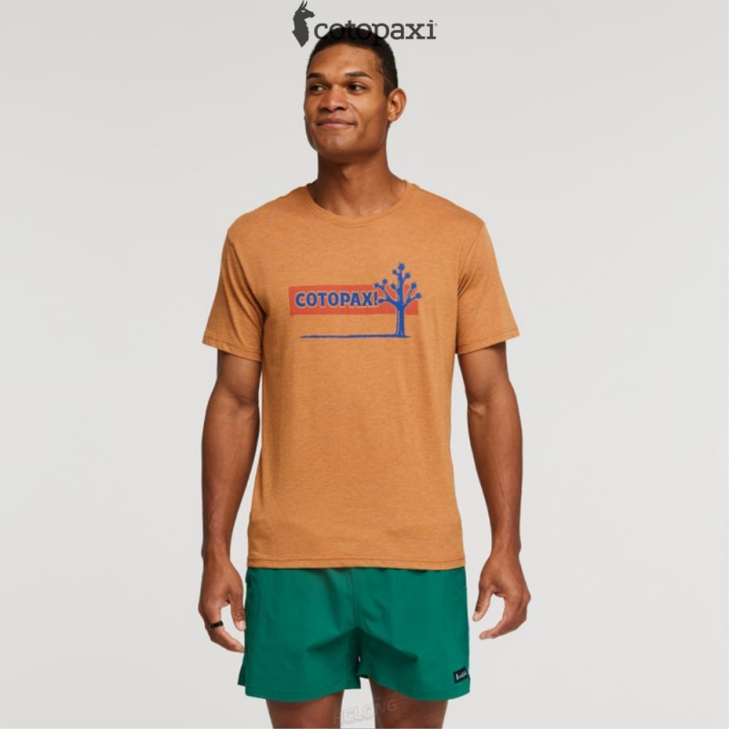 Cotopaxi Hello Desert T-Shirt Saddle | PH65-Q8-TZ