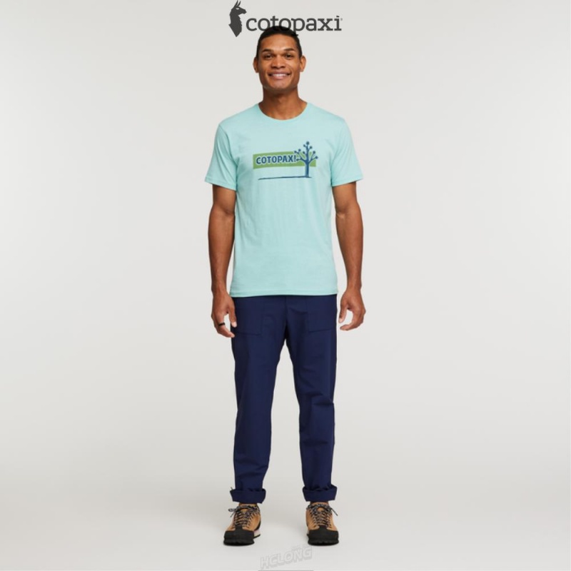 Cotopaxi Hello Desert T-Shirt Sea Glass | PE84-E3-QK