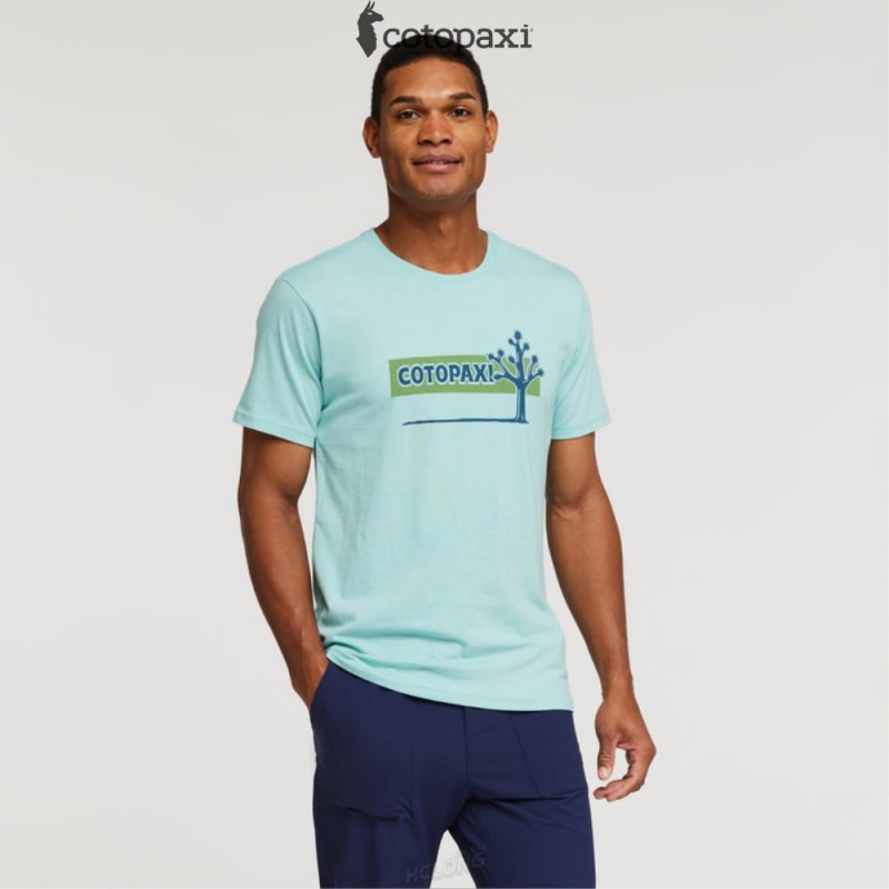 Cotopaxi Hello Desert T-Shirt Sea Glass | PE84-E3-QK