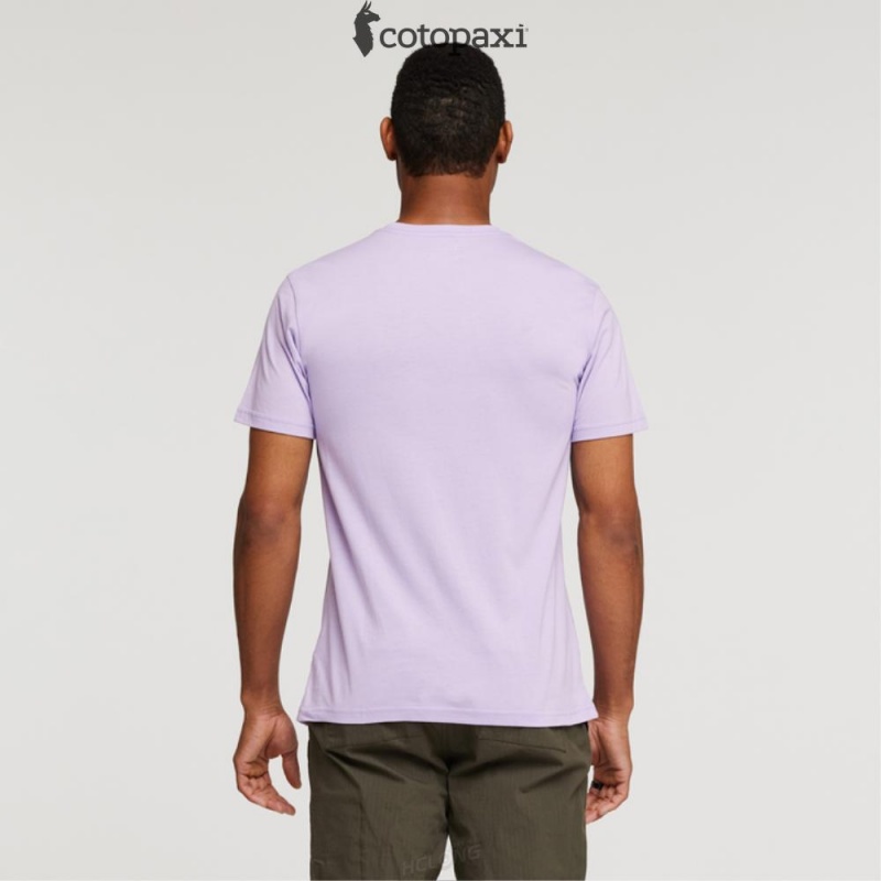 Cotopaxi Hello Desert T-Shirt Thistle | XI99-C2-BH