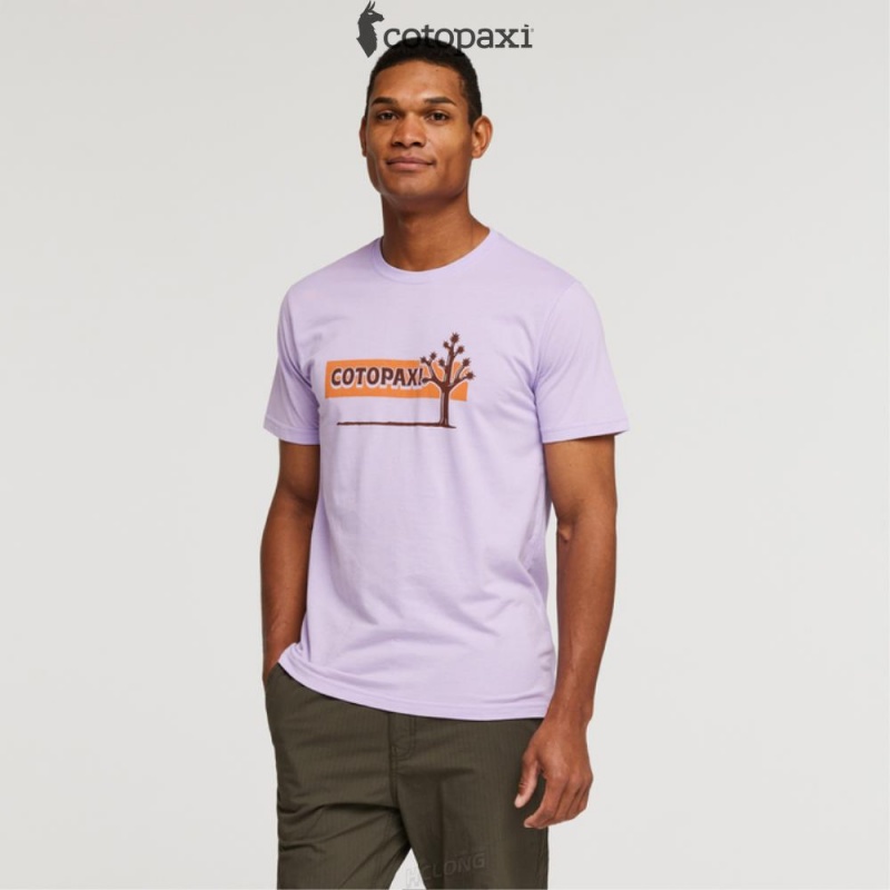 Cotopaxi Hello Desert T-Shirt Thistle | XI99-C2-BH