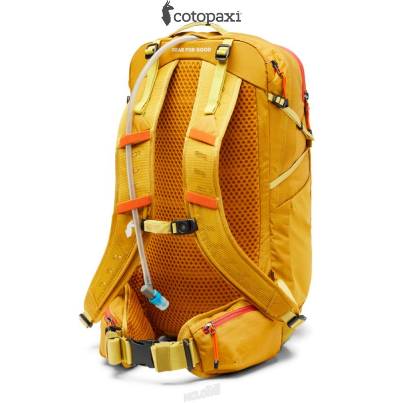 Cotopaxi Lagos 25L Hydration Pack Amber | ND05-X1-AR