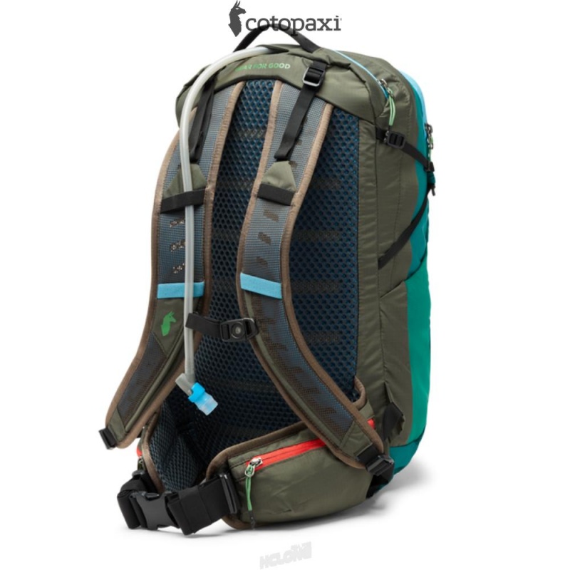 Cotopaxi Lagos 25L Hydration Pack Greenery/Iron | IV15-M1-PV