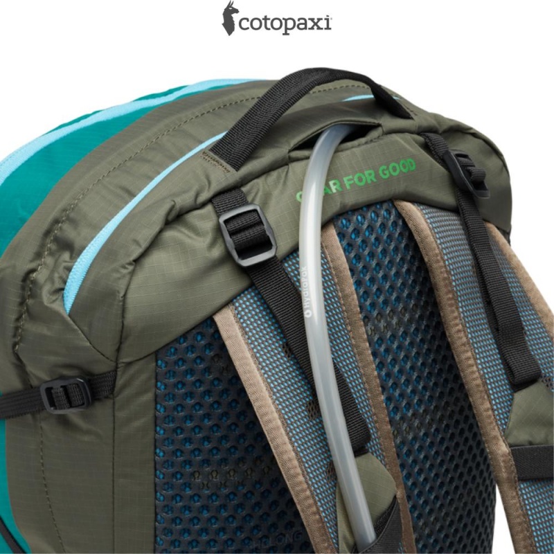 Cotopaxi Lagos 25L Hydration Pack Greenery/Iron | IV15-M1-PV