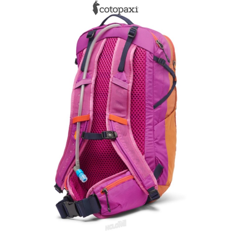 Cotopaxi Lagos 25L Hydration Pack Mezcal/Foxglove | YW54-P7-LD