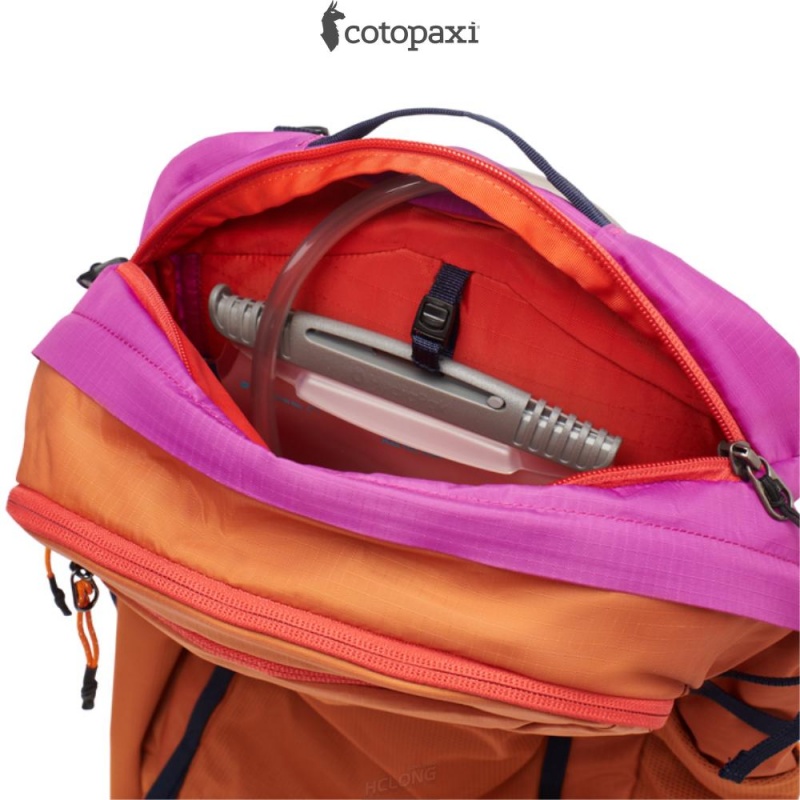 Cotopaxi Lagos 25L Hydration Pack Mezcal/Foxglove | YW54-P7-LD