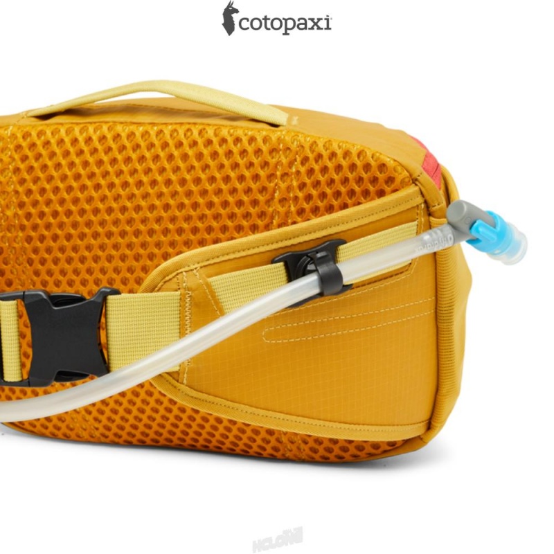 Cotopaxi Lagos 5L Hydration Hip Pack Amber | TK32-F4-RD