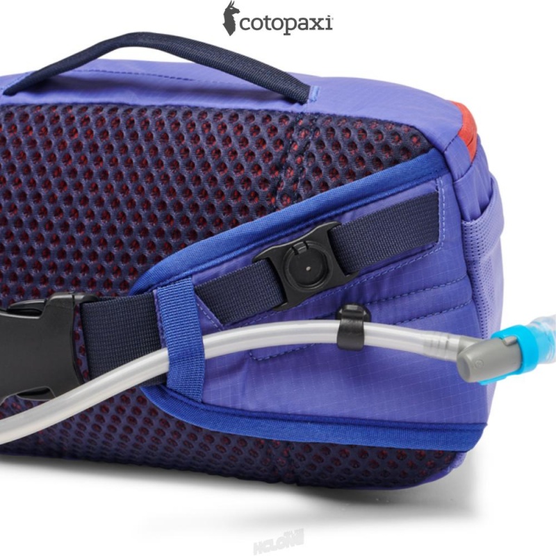 Cotopaxi Lagos 5L Hydration Hip Pack Amethyst/Blue Violet | IA72-E0-AJ