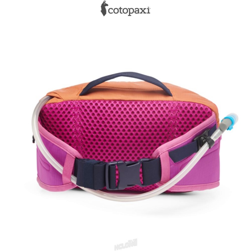 Cotopaxi Lagos 5L Hydration Hip Pack Mezcal/Foxglove | UV99-N7-KH