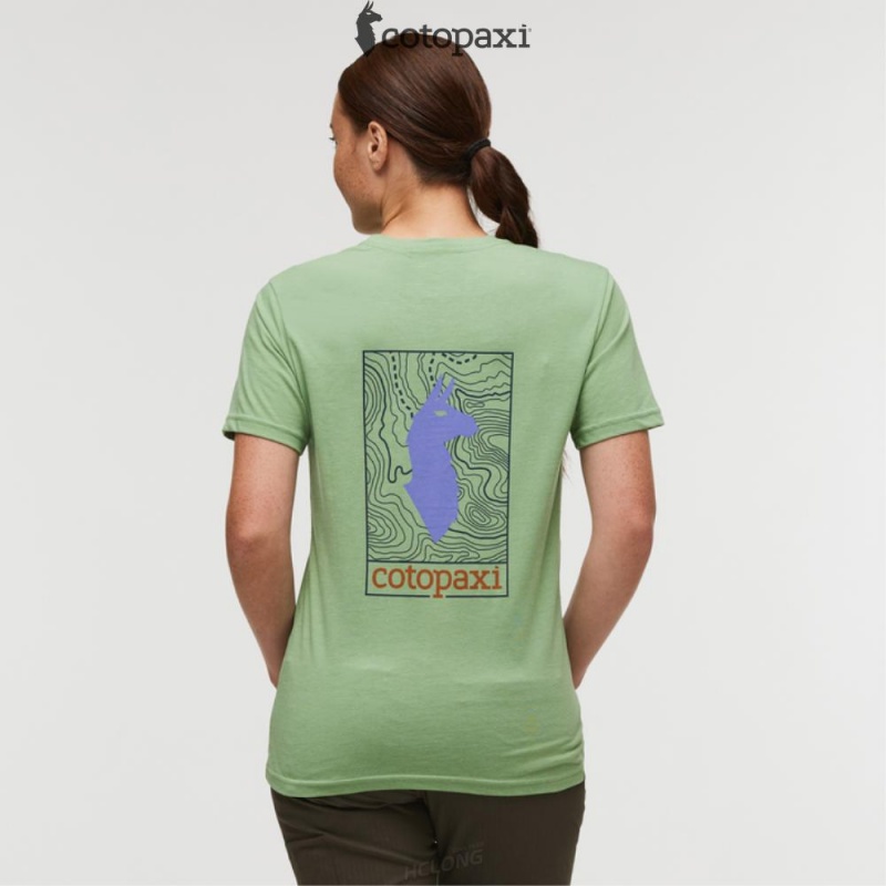 Cotopaxi Llama Map T-Shirt Aspen | AO38-I9-TB