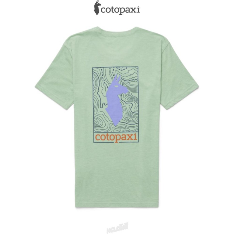 Cotopaxi Llama Map T-Shirt Aspen | AO38-I9-TB