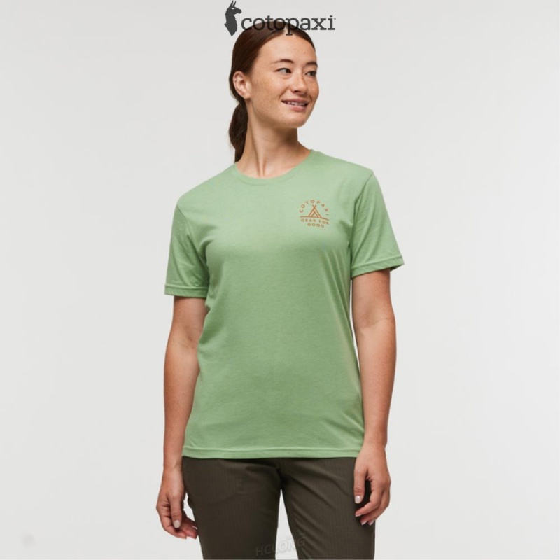 Cotopaxi Llama Map T-Shirt Aspen | AO38-I9-TB