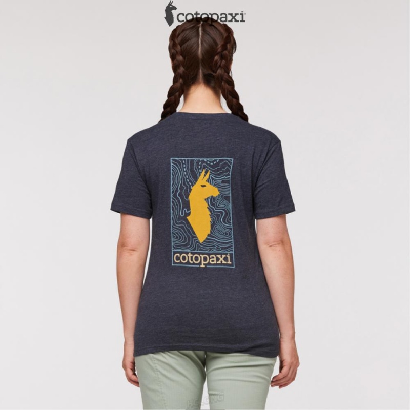 Cotopaxi Llama Map T-Shirt Graphite | YL86-O7-SS