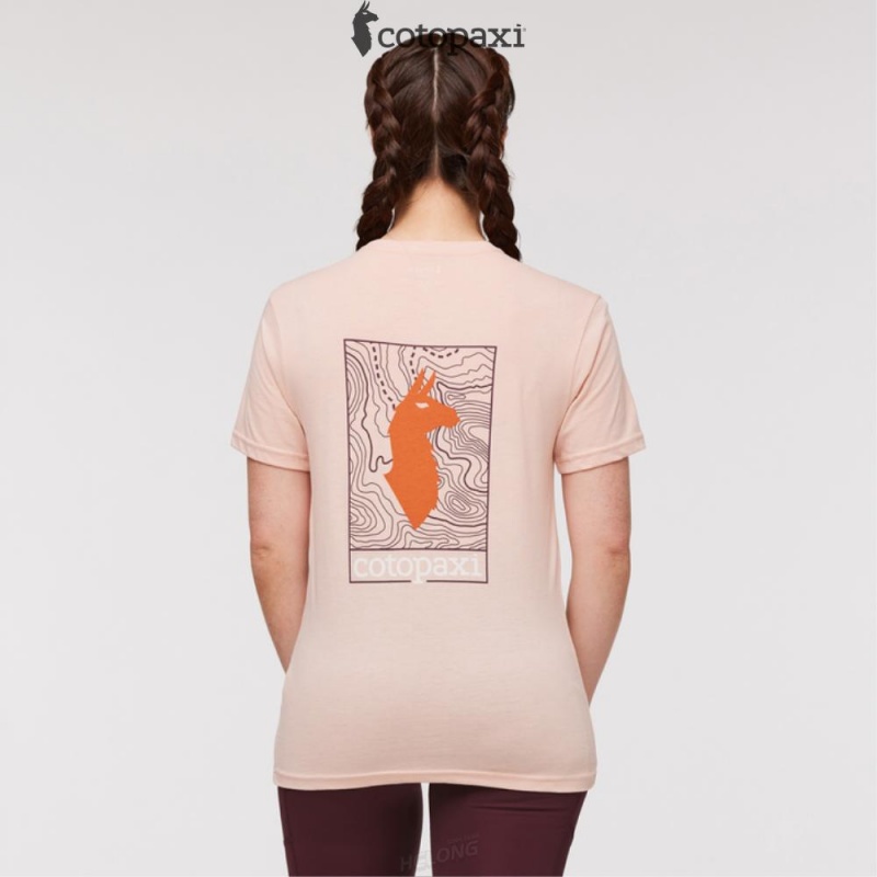 Cotopaxi Llama Map T-Shirt Rosewood | VC38-X1-YW