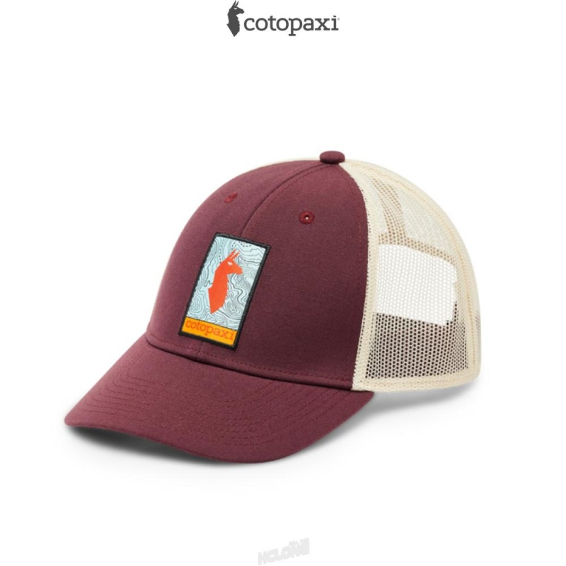 Cotopaxi Llama Map Trucker Hat Wine | FQ42-W1-NV