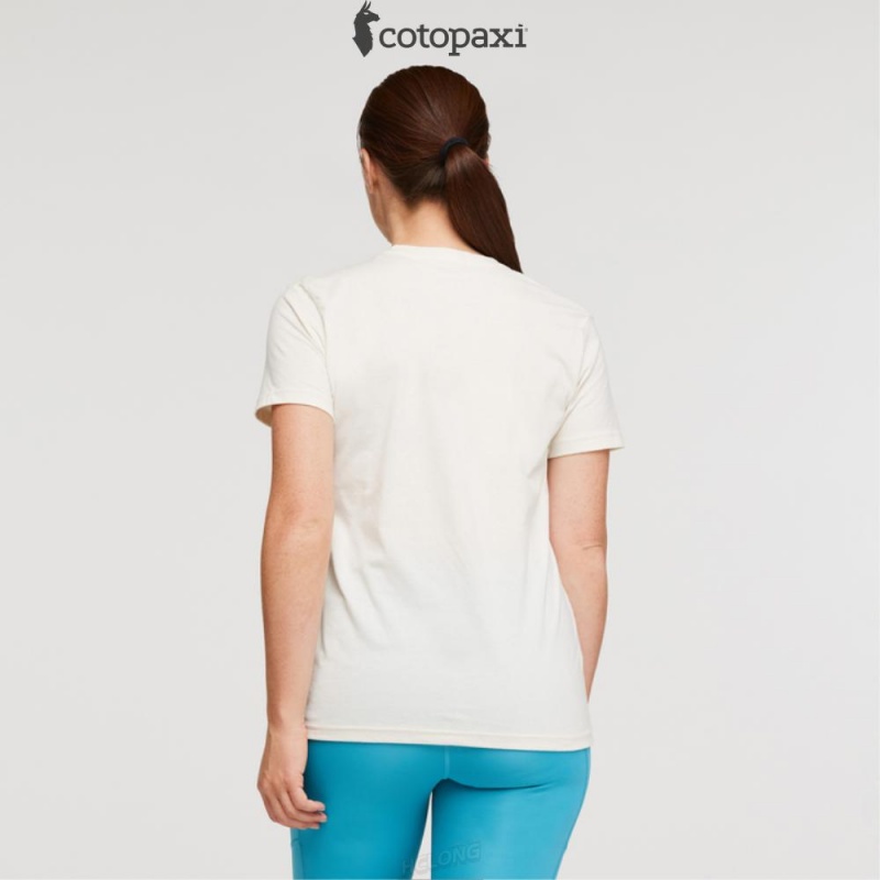 Cotopaxi Llama Sequence T-Shirt Bone | PZ04-J3-YA