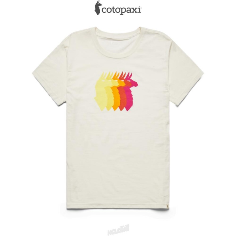 Cotopaxi Llama Sequence T-Shirt Bone | PZ04-J3-YA