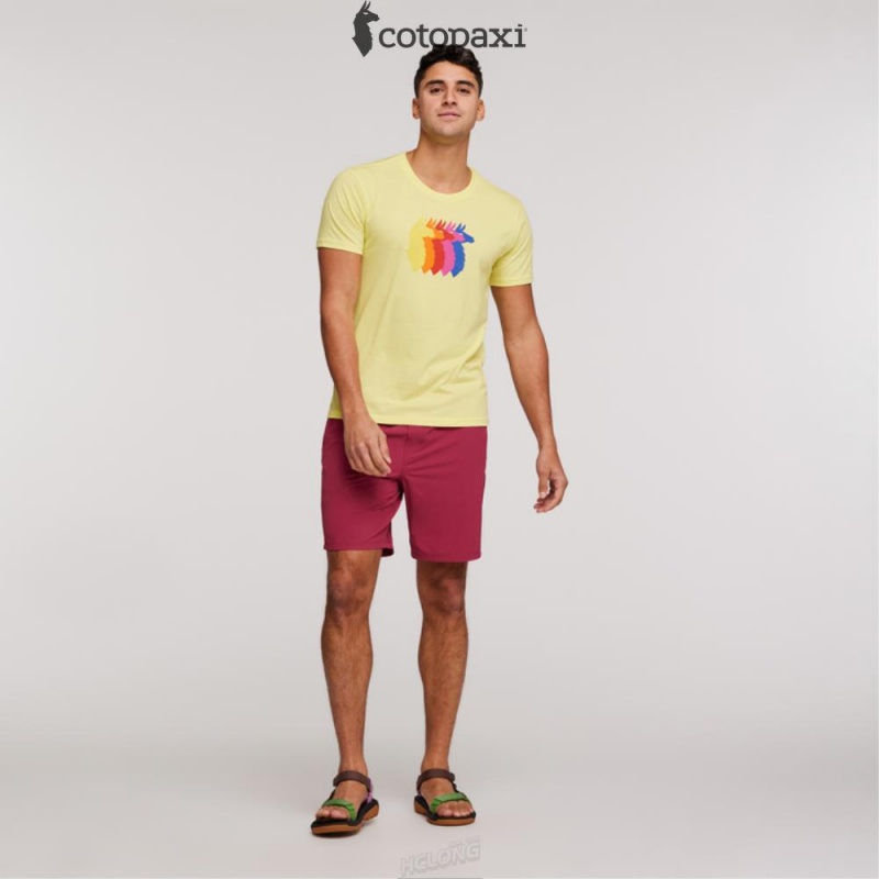 Cotopaxi Llama Sequence T-Shirt Lemonade | IH58-L5-YK