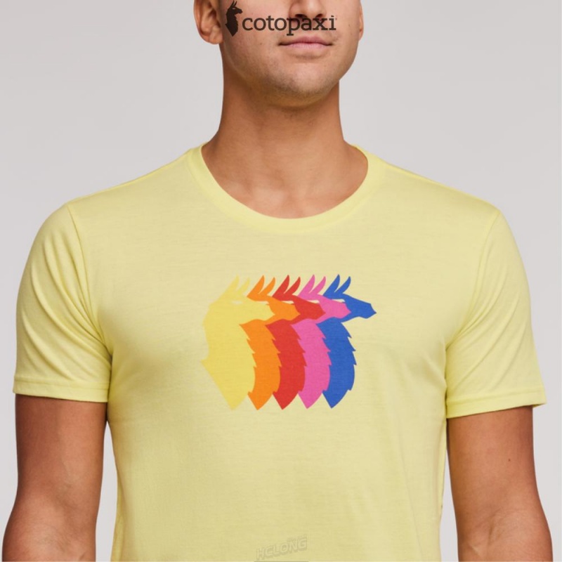 Cotopaxi Llama Sequence T-Shirt Lemonade | IH58-L5-YK