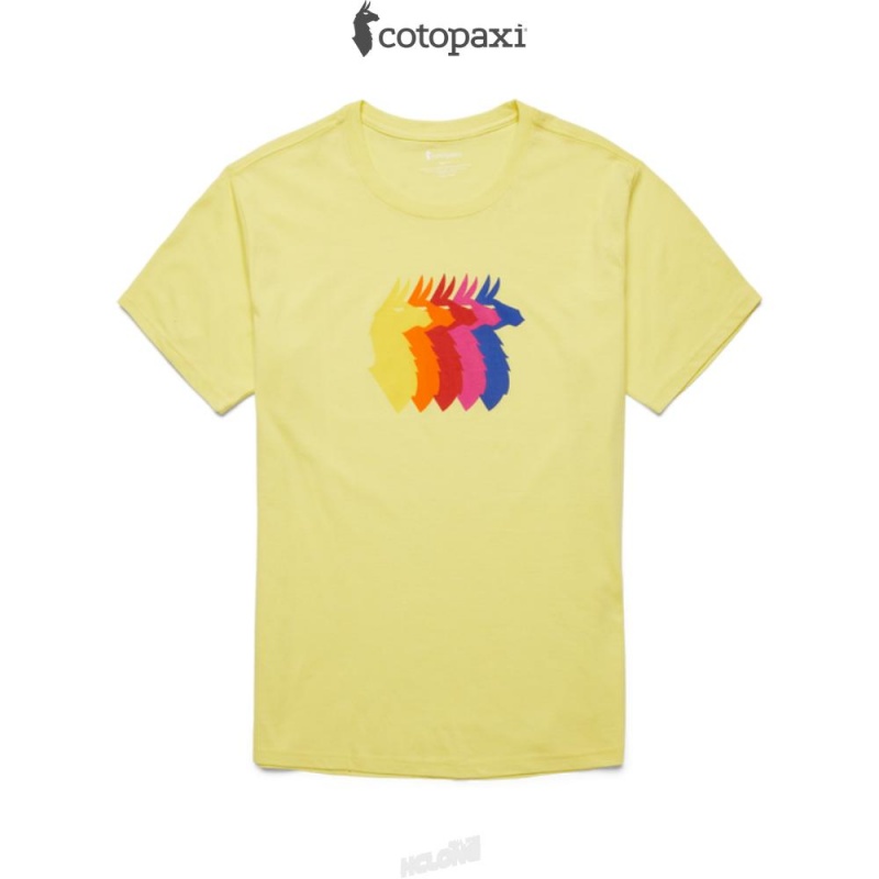 Cotopaxi Llama Sequence T-Shirt Lemonade | IH58-L5-YK