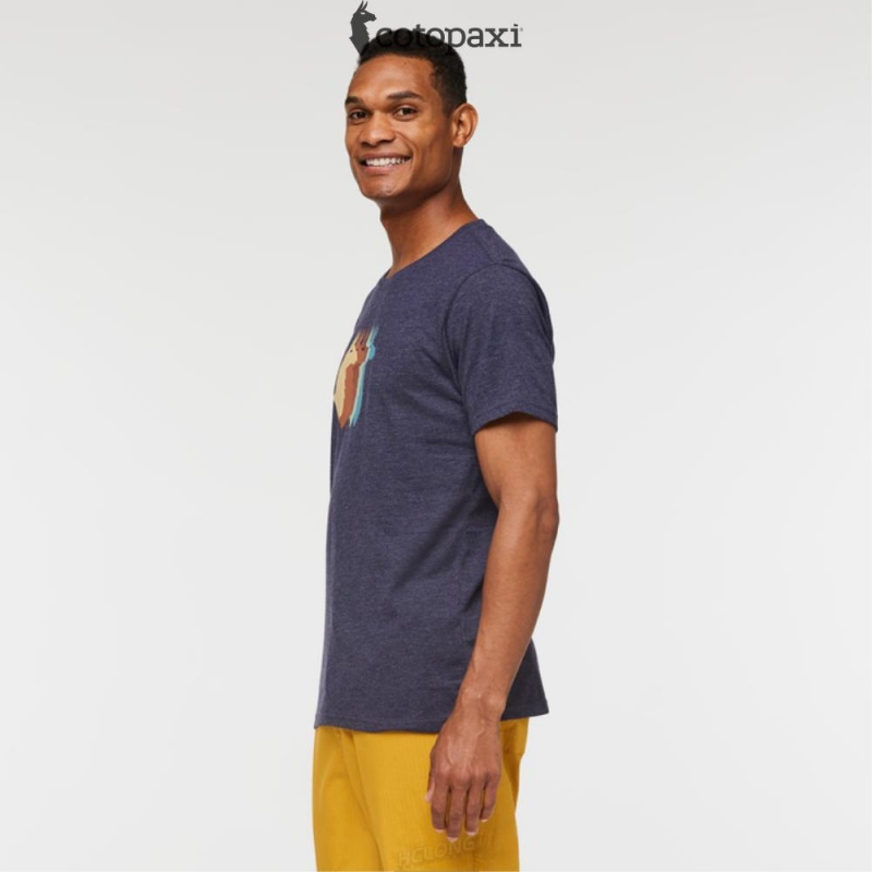 Cotopaxi Llama Sequence T-Shirt Maritime | WZ54-L3-RI