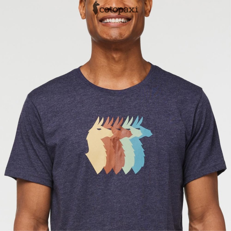 Cotopaxi Llama Sequence T-Shirt Maritime | WZ54-L3-RI