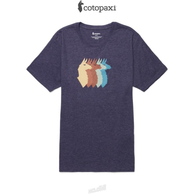 Cotopaxi Llama Sequence T-Shirt Maritime | WZ54-L3-RI