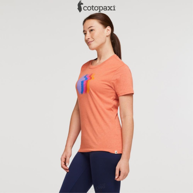 Cotopaxi Llama Sequence T-Shirt Nectar | IV59-A1-JH