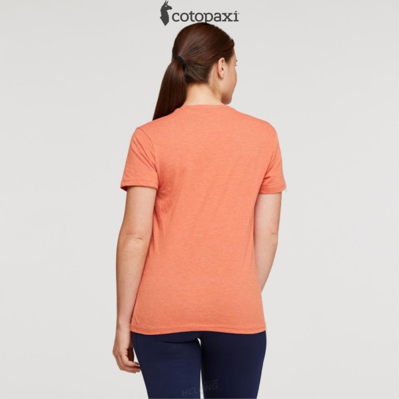 Cotopaxi Llama Sequence T-Shirt Nectar | IV59-A1-JH