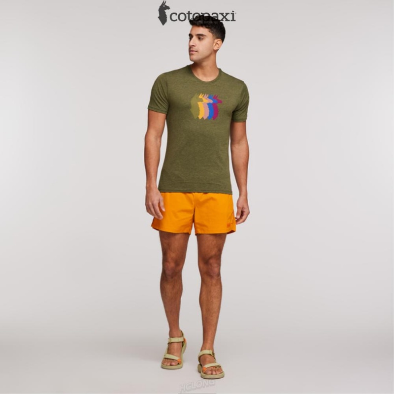 Cotopaxi Llama Sequence T-Shirt Pine | UA17-P5-YX