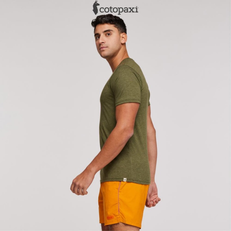 Cotopaxi Llama Sequence T-Shirt Pine | UA17-P5-YX