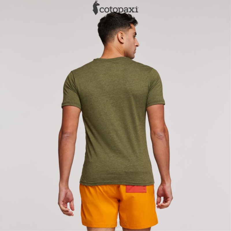 Cotopaxi Llama Sequence T-Shirt Pine | UA17-P5-YX