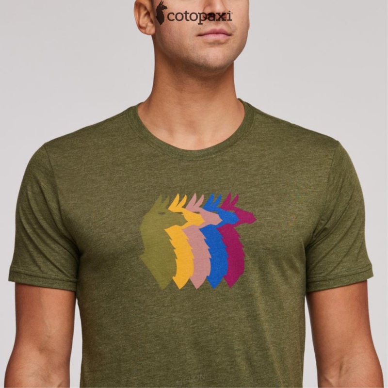 Cotopaxi Llama Sequence T-Shirt Pine | UA17-P5-YX