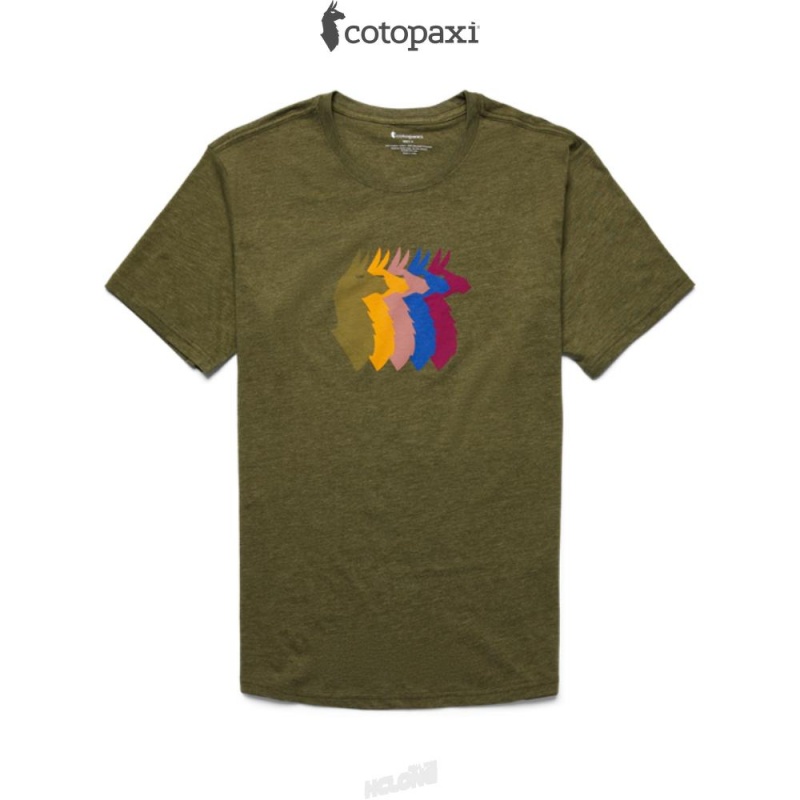 Cotopaxi Llama Sequence T-Shirt Pine | UA17-P5-YX