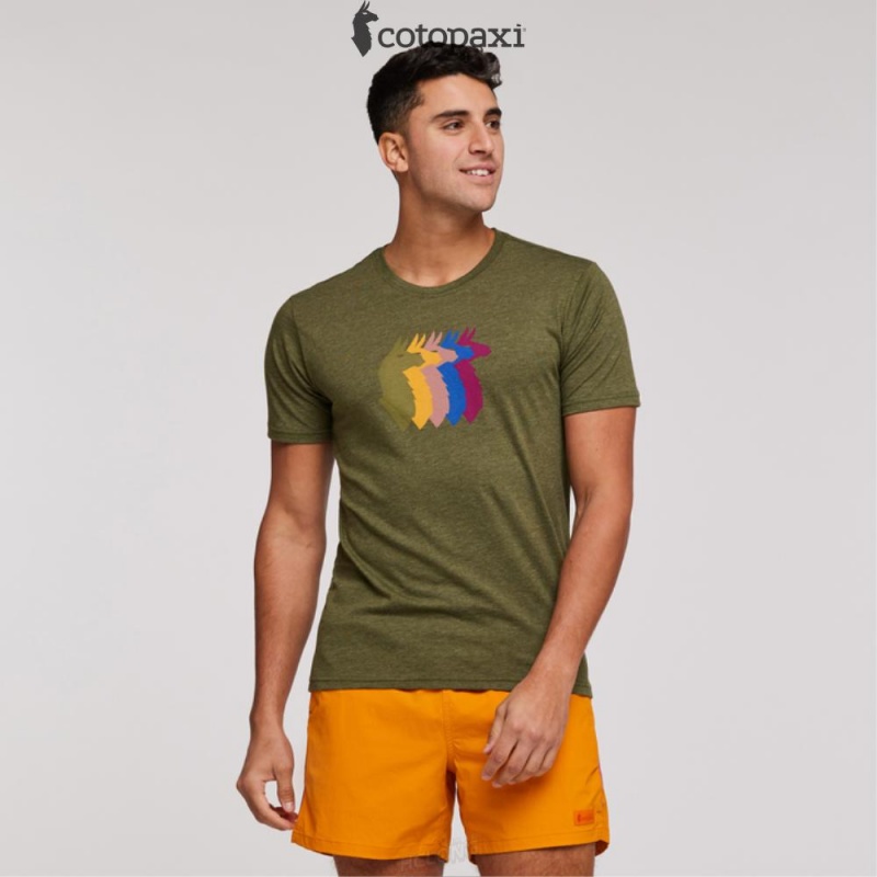 Cotopaxi Llama Sequence T-Shirt Pine | UA17-P5-YX