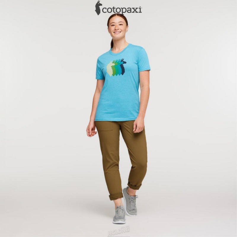 Cotopaxi Llama Sequence T-Shirt Poolside | JW58-Y6-FM