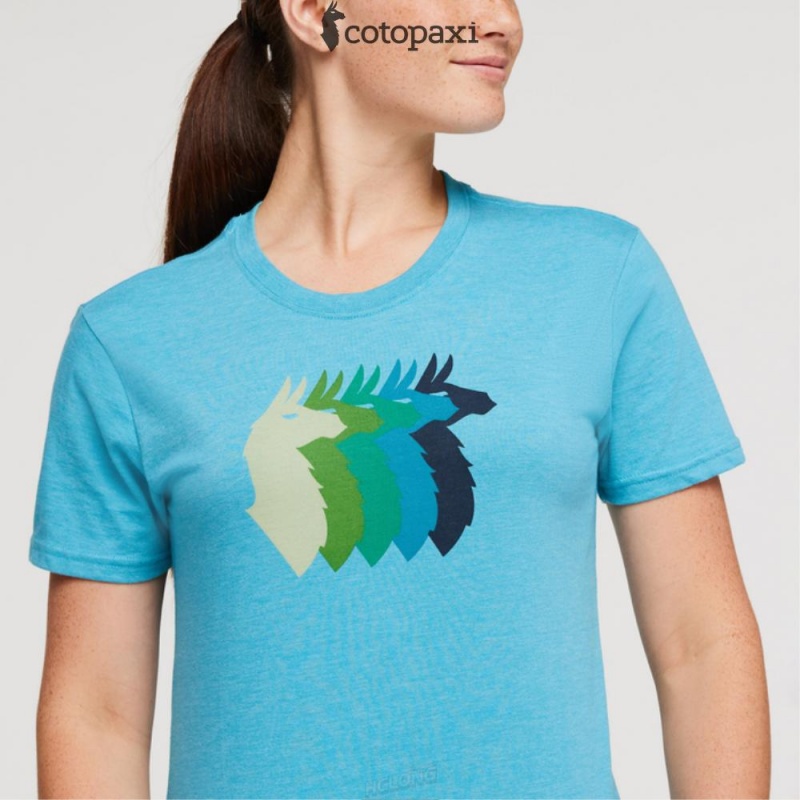 Cotopaxi Llama Sequence T-Shirt Poolside | JW58-Y6-FM