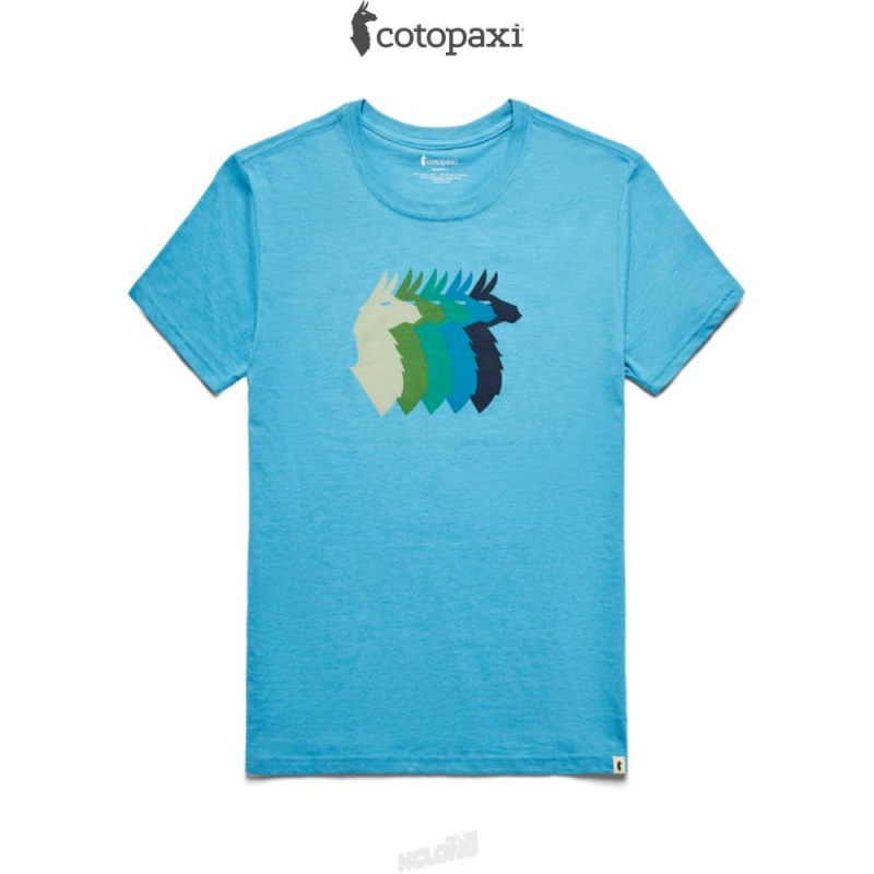 Cotopaxi Llama Sequence T-Shirt Poolside | JW58-Y6-FM