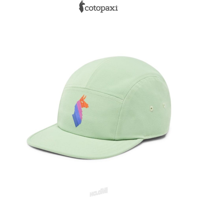 Cotopaxi Llama Stripes 5-Panel Hat Aspen | DG26-Q9-AB