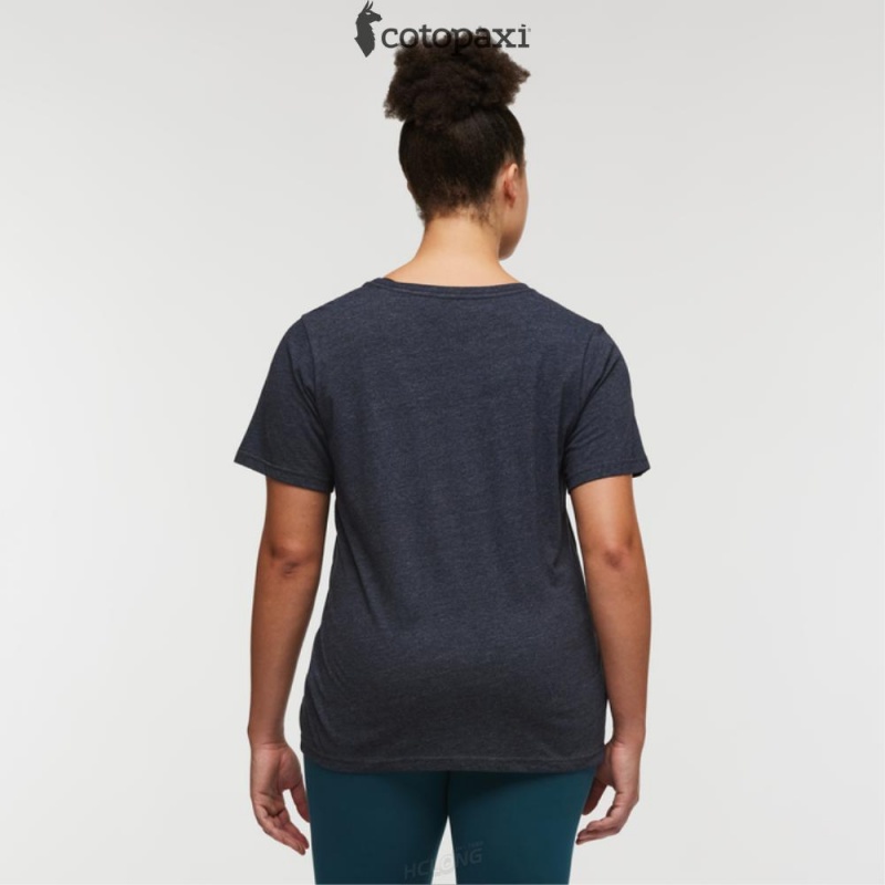 Cotopaxi Llama Stripes T-Shirt Graphite | ZA96-L6-UR