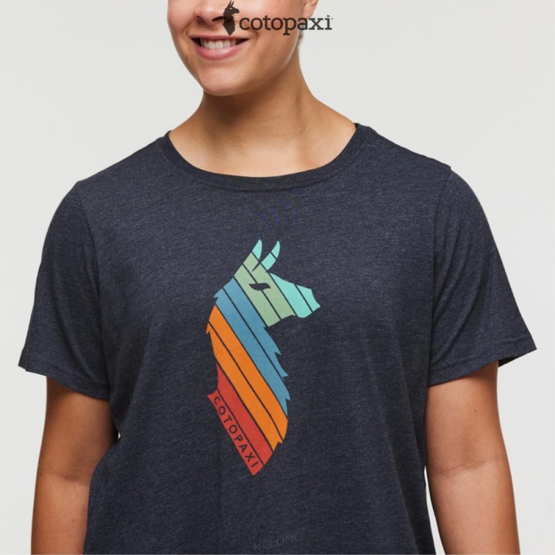 Cotopaxi Llama Stripes T-Shirt Graphite | ZA96-L6-UR