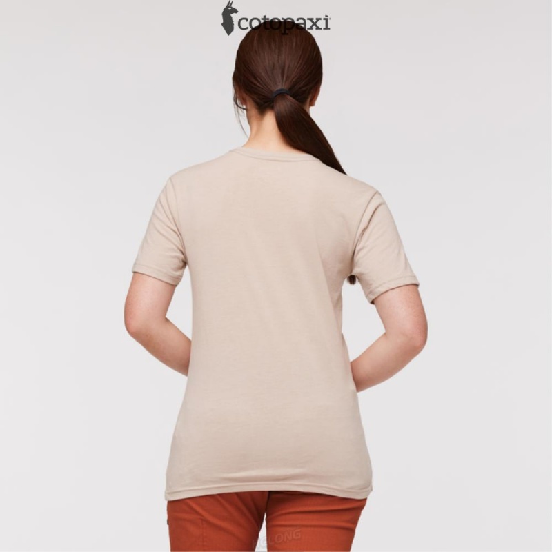 Cotopaxi Llama Stripes T-Shirt Oatmeal | BR53-Q8-QG