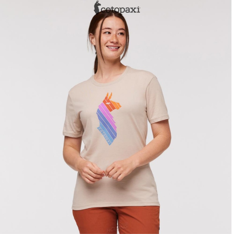 Cotopaxi Llama Stripes T-Shirt Oatmeal | BR53-Q8-QG