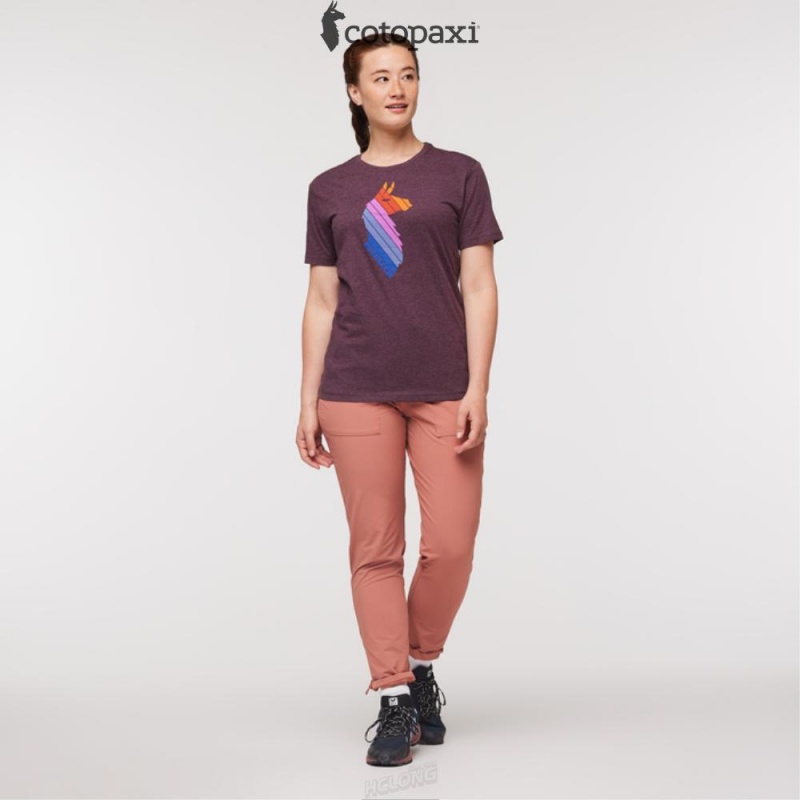 Cotopaxi Llama Stripes T-Shirt Wine | HV83-N7-FR