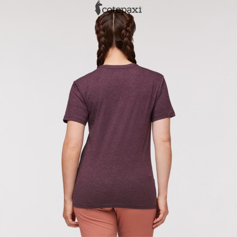 Cotopaxi Llama Stripes T-Shirt Wine | HV83-N7-FR