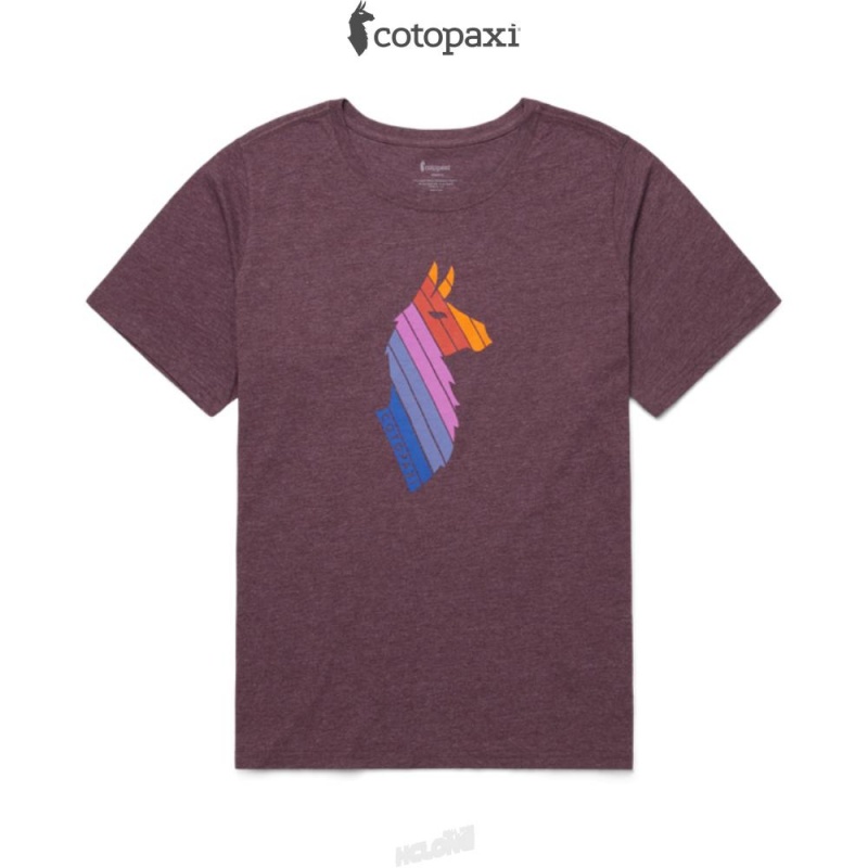 Cotopaxi Llama Stripes T-Shirt Wine | HV83-N7-FR